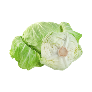 Cabbage