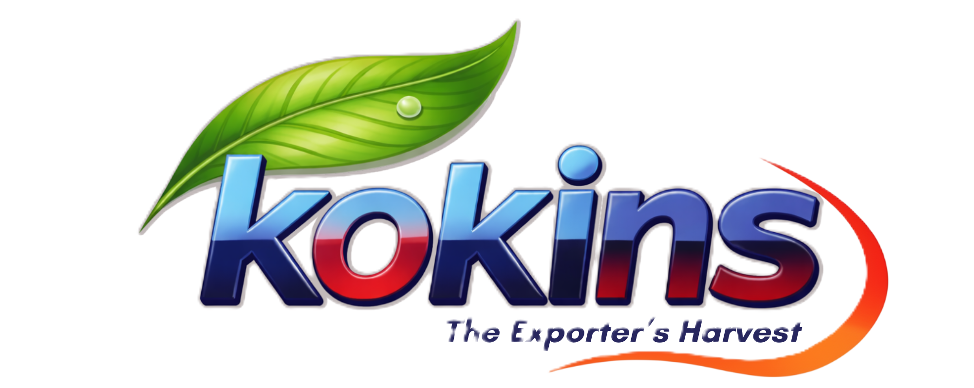 kokinsindia.com